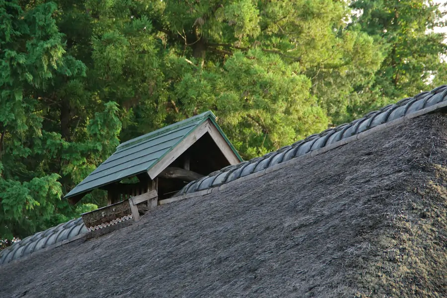Understanding Asphalt Roof and Lichen Shingle Cleaning & Maintenance 9 Asphalt Roof Shingle Cleaning