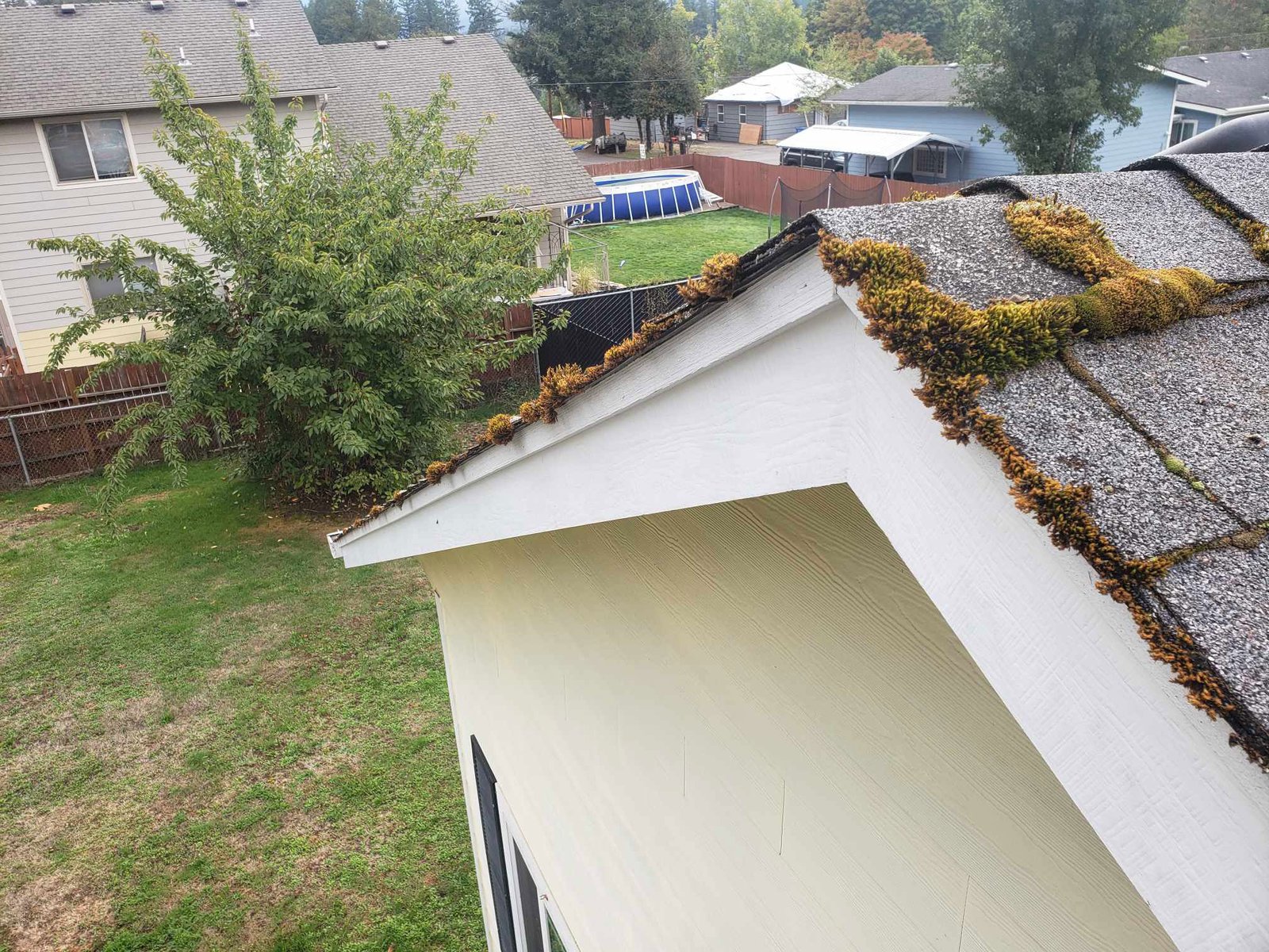 clayroof before