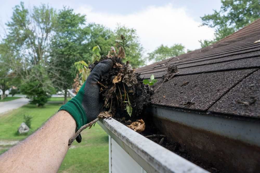 Cleaning Your Gutter