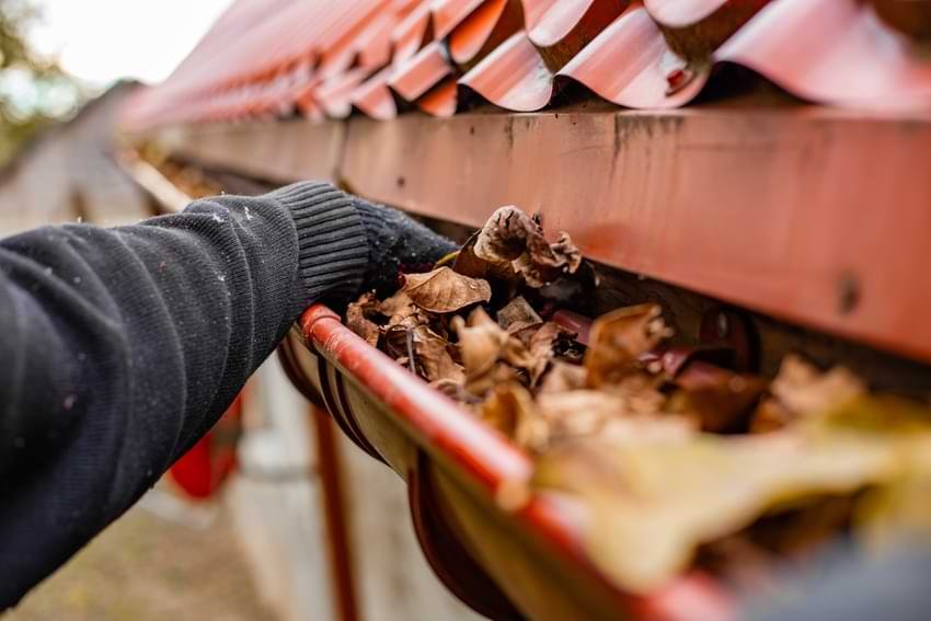 Avoiding Damage Before It Starts: The Importance of Regular Gutter Cleaning 1 Professional Gutter