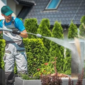 Man Cleans Garden