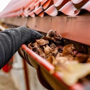 Avoiding Damage Before It Starts: The Importance of Regular Gutter Cleaning